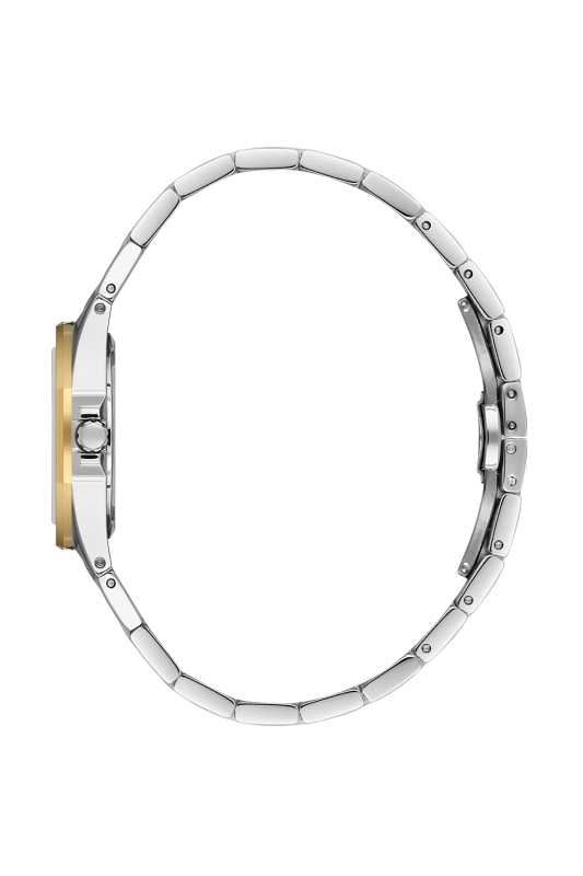 SB.1.10647-4_2.png