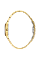 SB.1.10649-3_2.png