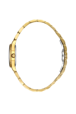 SB.1.10649-3_2.png