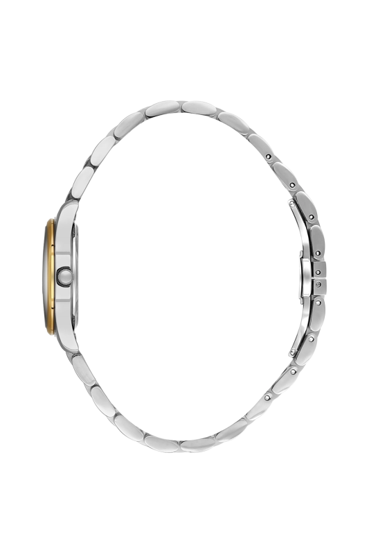 SB.1.10649-4_2.png