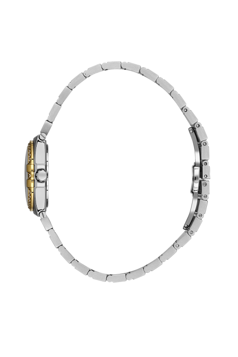 SB.1.10656-3_2.png