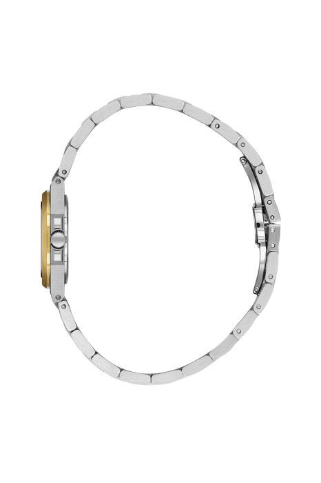 SB.1.10658-3_2.png