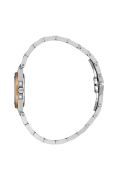 SB.1.10658-5_2.png