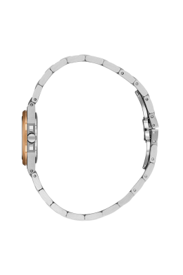 SB.1.10658-5_2.png