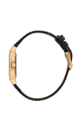 SB.1.10660-5_2.png