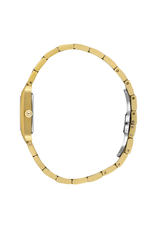 SB.1.10663-3_2.png