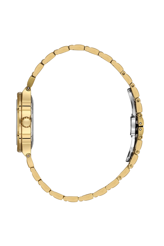 SB.1.10664-2_2.png