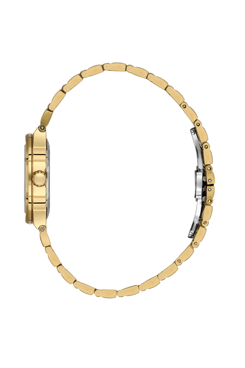 SB.1.10664-3_2.png