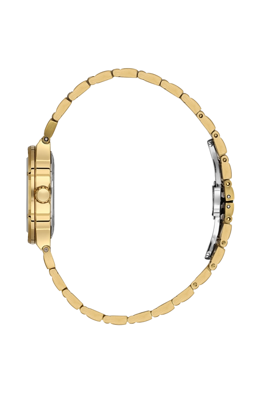 SB.1.10664-3_2.png
