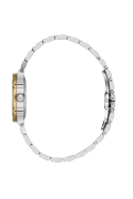SB.1.10664-4_2.png