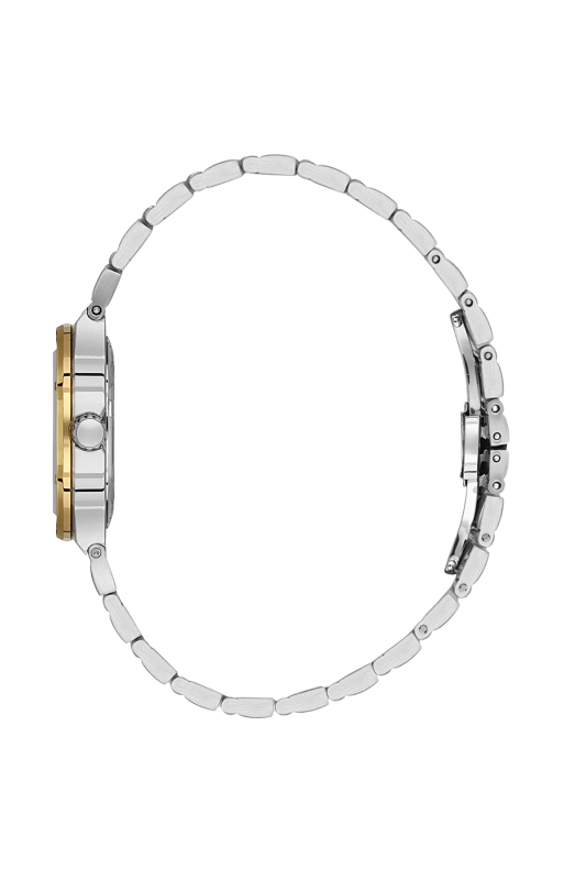 SB.1.10664-4_2.png