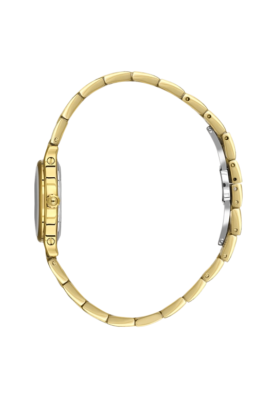 SB.1.10668-2_2.png