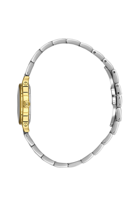 SB.1.10668-3-2.png