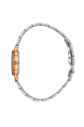 SB.1.10668-5_2.png