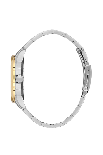 SB.1.10674-4_2.png