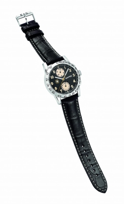 31175-31176.02 CP_Tazio Nuvolari_PR__CMYK.jpg