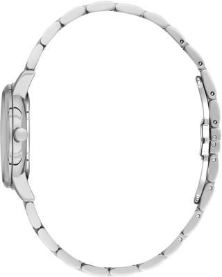 SB.1.10695-1_2.png
