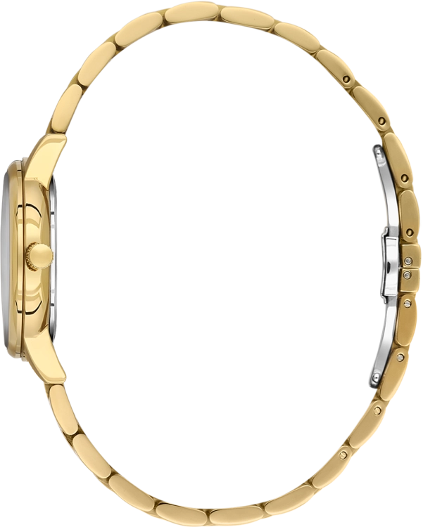 SB.1.10695-3_2.png
