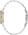 SB.1.10695-4_2.png