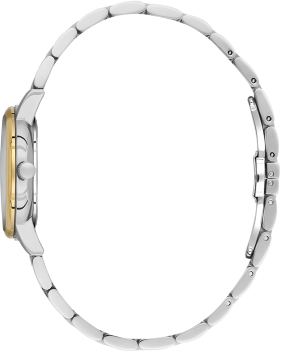 SB.1.10695-4_2.png