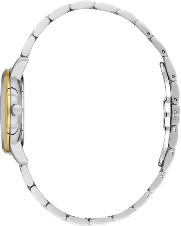 SB.1.10695-4_2.png