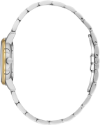 SB.1.10695-5_2.png
