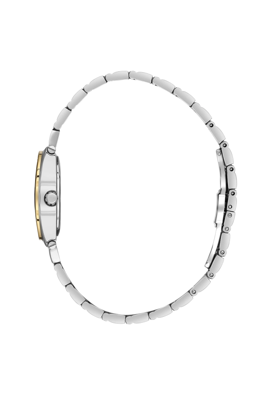 SB.1.10686-5_2.png