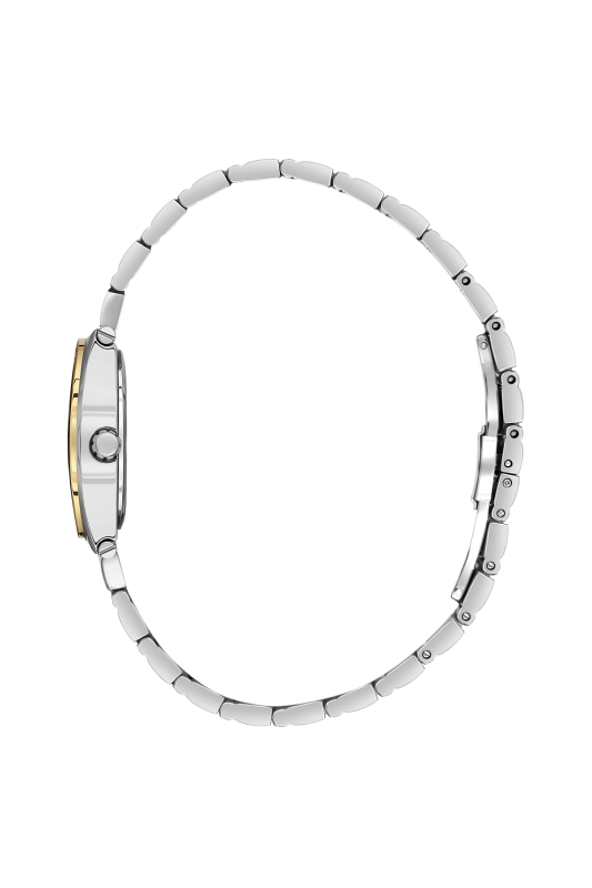 SB.1.10686-4_2.png