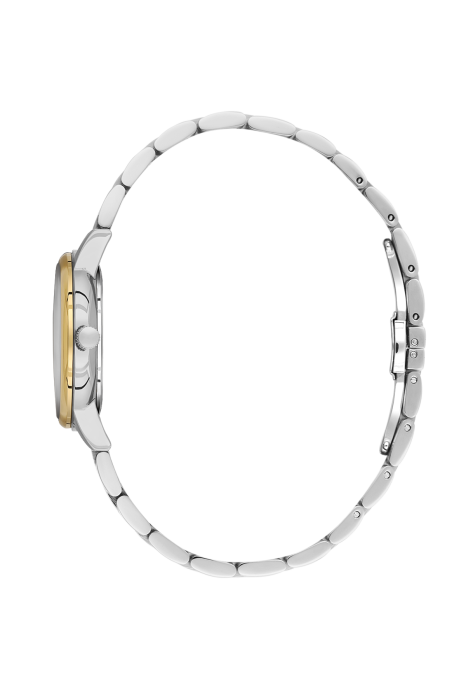 SB.1.10695-5_2.png