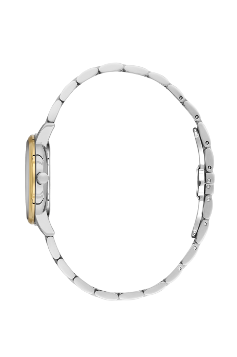 SB.1.10695-4_2.png