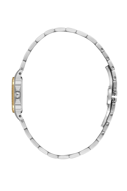 SB.1.10597-4_2.png