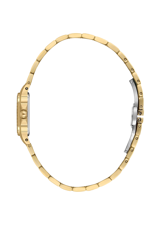 SB.1.10597-6_2.png