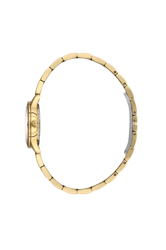 SB.1.10681-7_2.png
