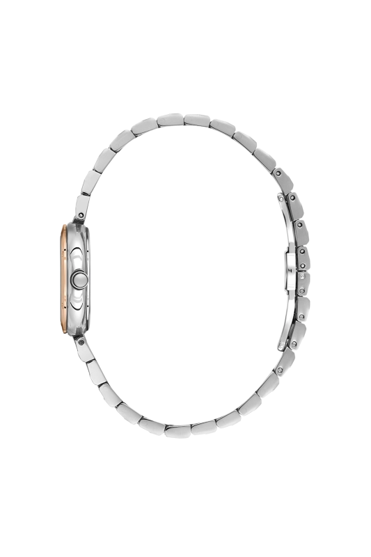 SB.1.10682-1_2.png