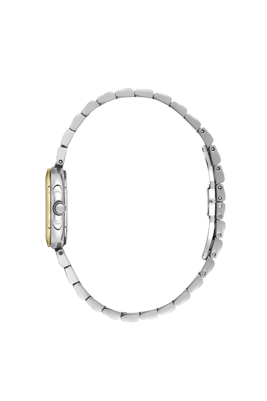 SB.1.10682-3_2.png