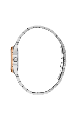 SB.1.10691-6_2.png