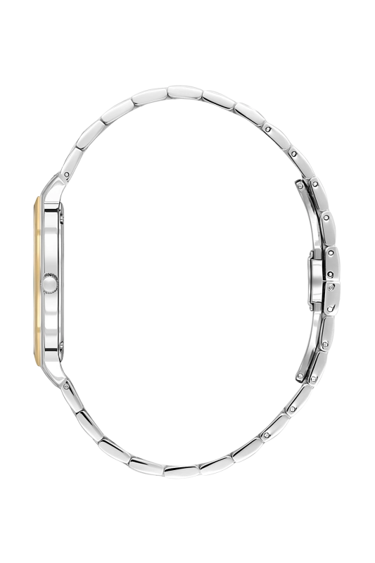 SB.1.10696-5_2.png